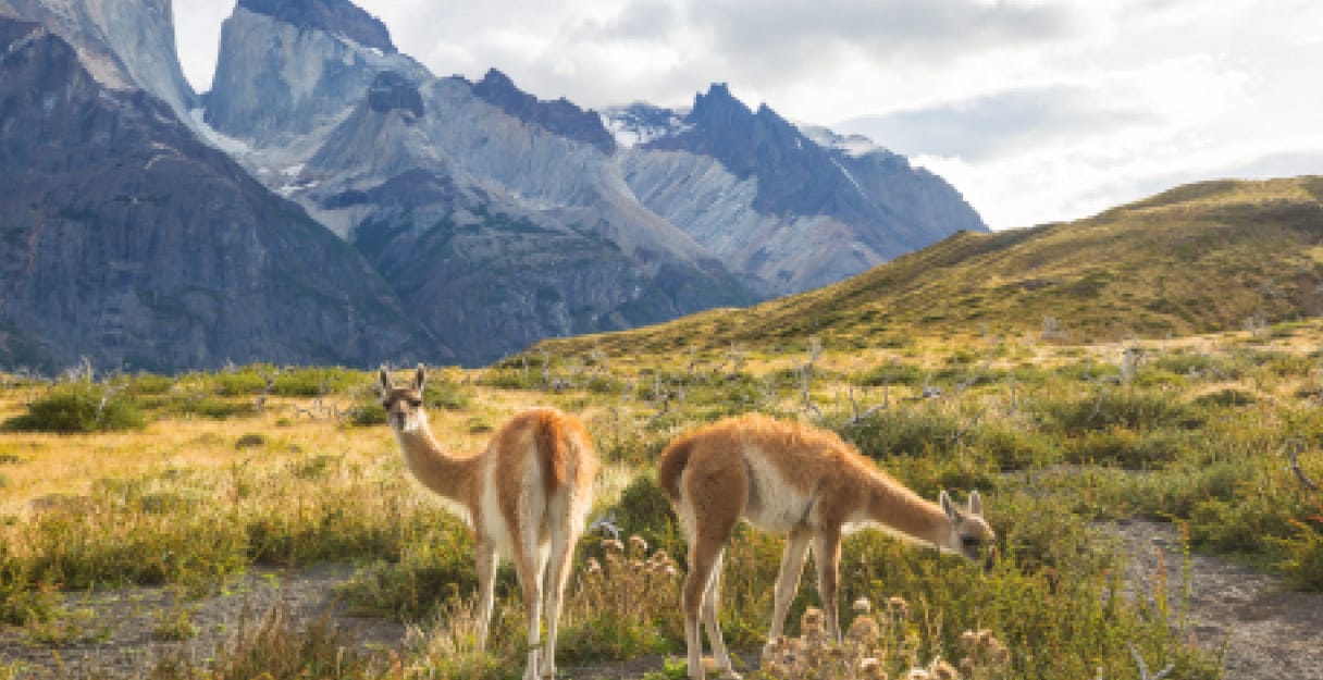 Discover the Heart of Peru