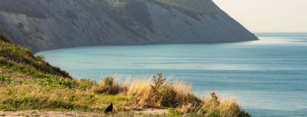 Coastal Bliss: Patagonian Beach Retreat